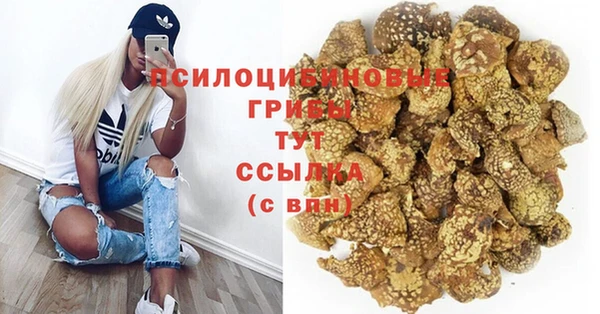 не бодяженный Ладушкин