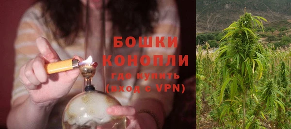 не бодяженный Ладушкин