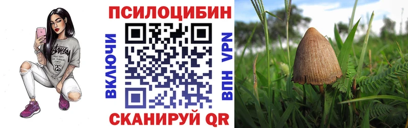 Галлюциногенные грибы Psilocybine cubensis  Купить где  Черкесск 